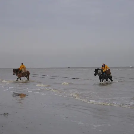 Oostduin